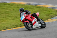 PJ-Motorsport-2019;anglesey-no-limits-trackday;anglesey-photographs;anglesey-trackday-photographs;enduro-digital-images;event-digital-images;eventdigitalimages;no-limits-trackdays;peter-wileman-photography;racing-digital-images;trac-mon;trackday-digital-images;trackday-photos;ty-croes